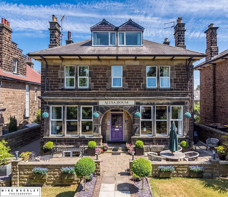 فندق هاروغايتفي  Alexa House